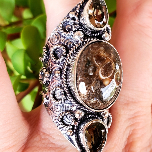 New Turtella Agate Fossil and Smoky Quartz 925 Silver Statement Ring. - Picture 11 of 16